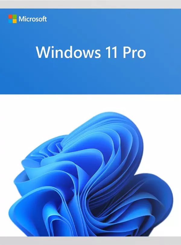 Windows 11 Pro - 64 Bit, ESD
