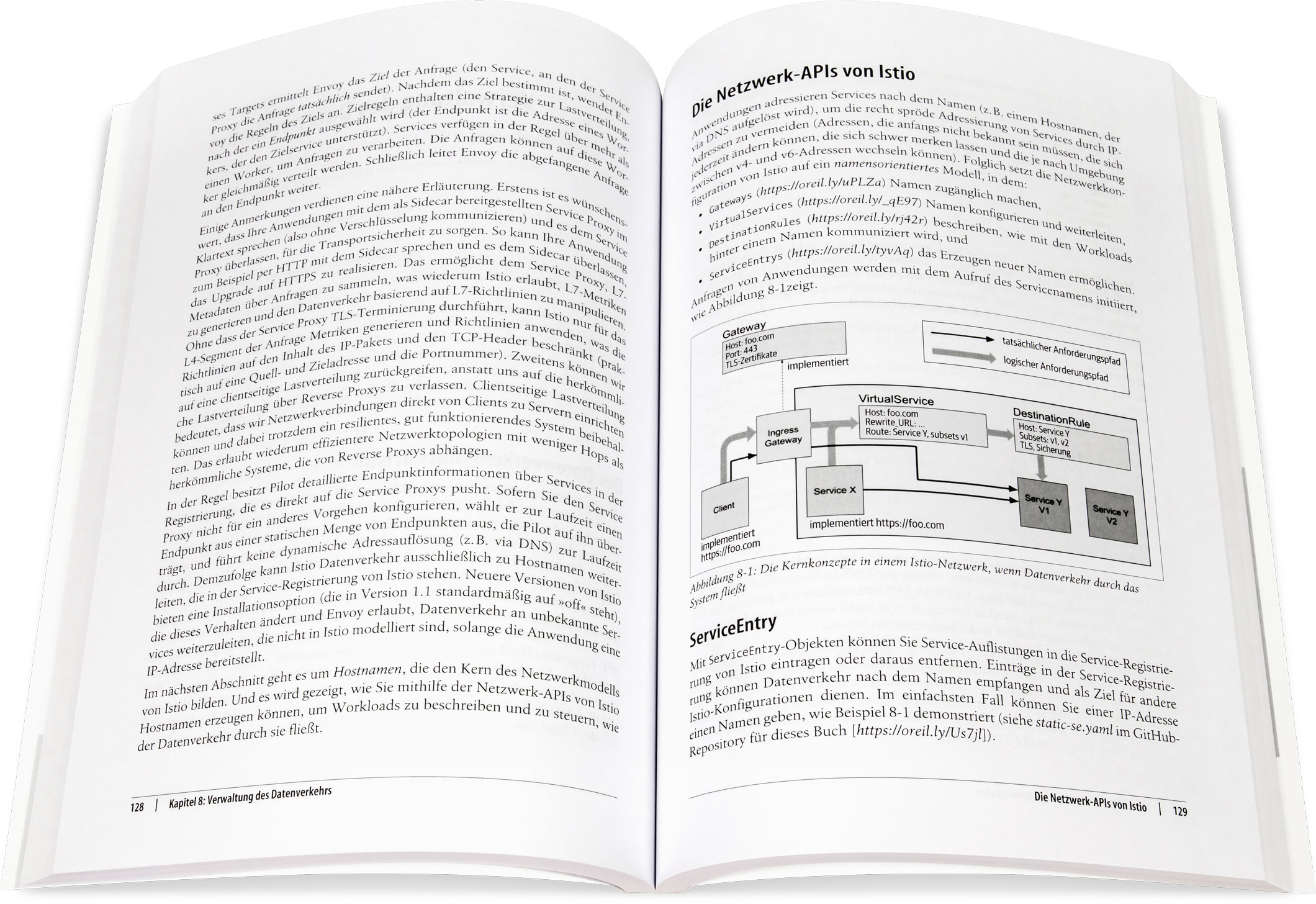 Blick ins Buch: Istio - Service Mesh für Microservices