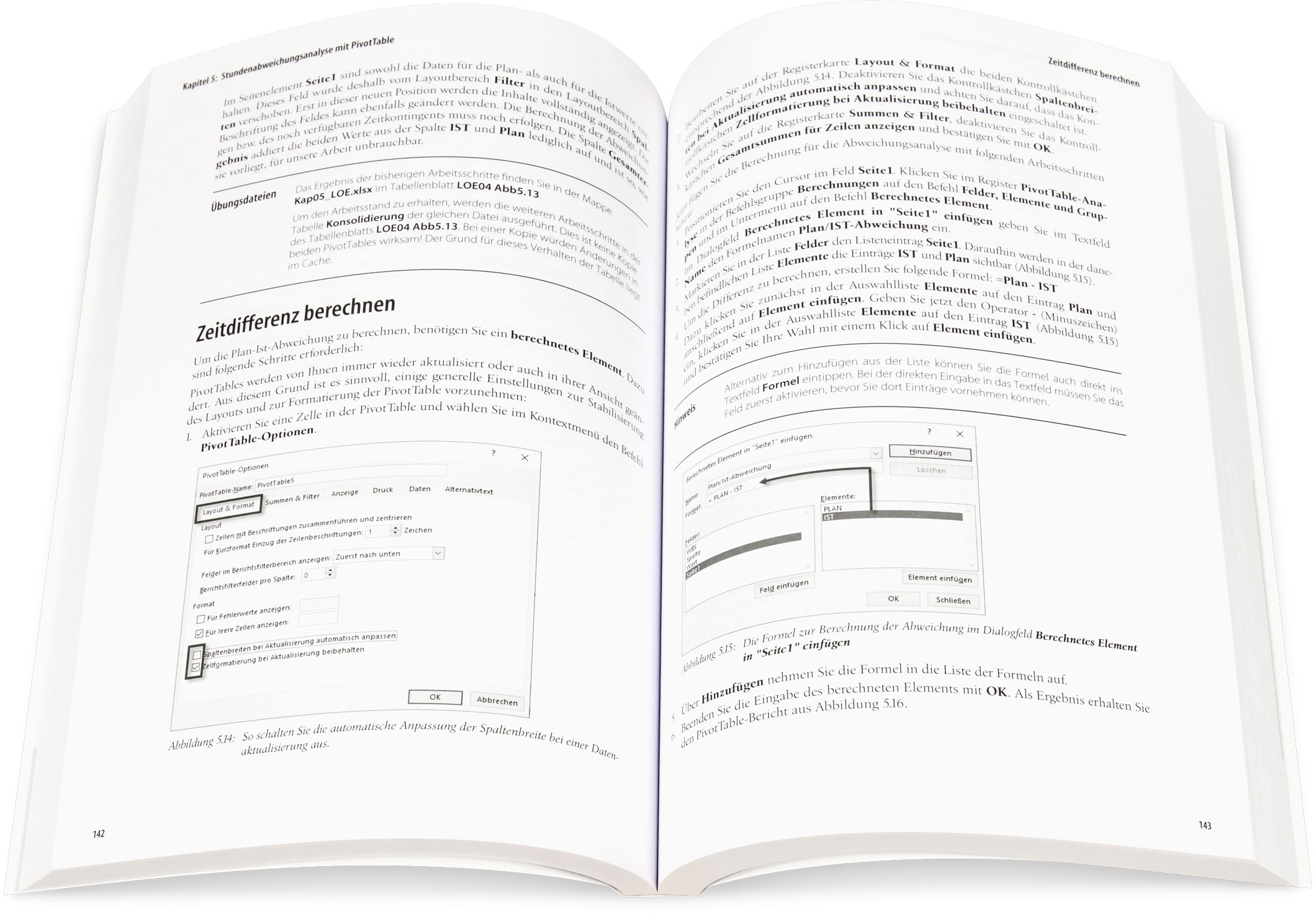 Blick ins Buch: Microsoft Excel Pivot-Tabellen