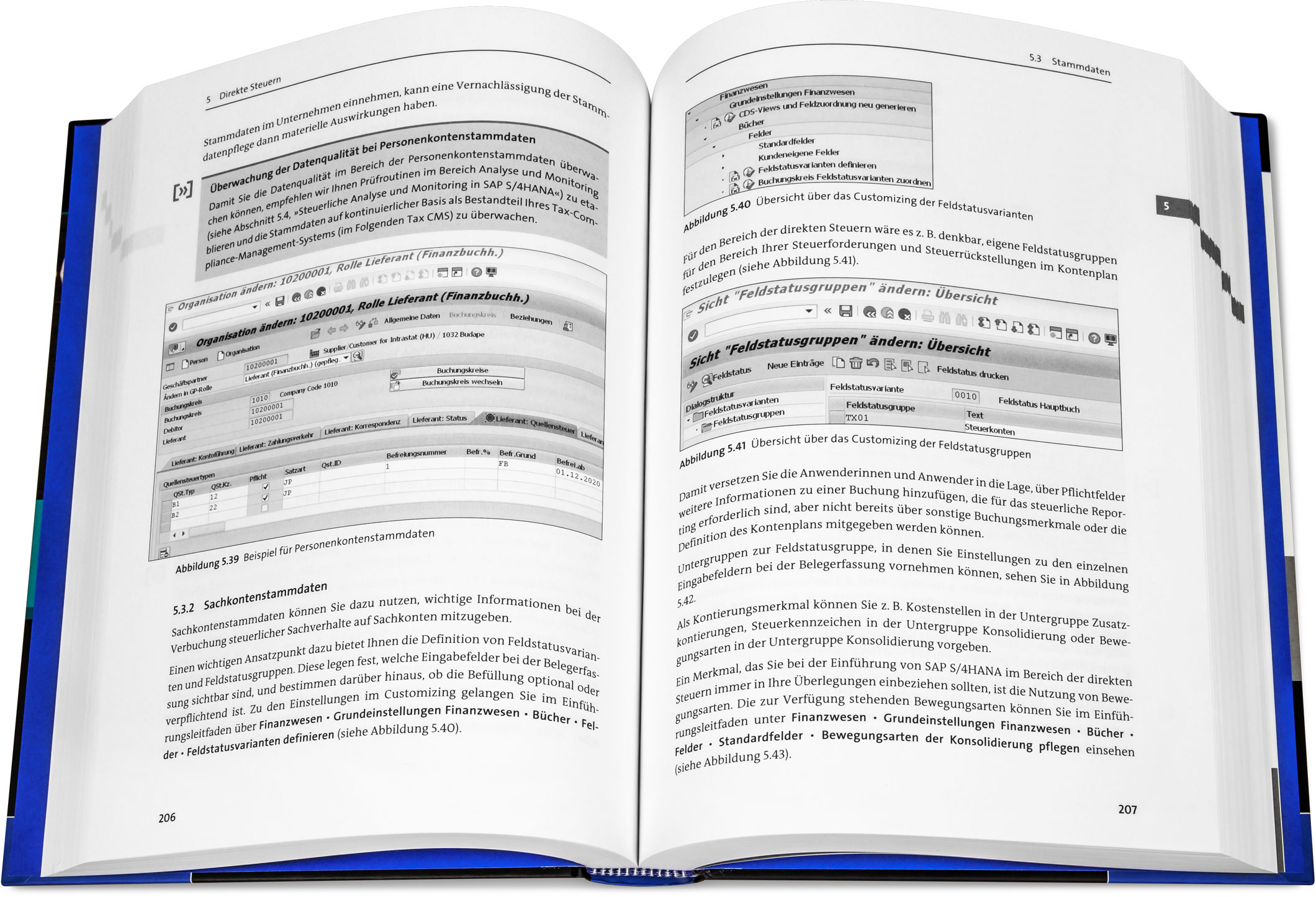 Blick ins Buch: Steuern in SAP S/4HANA