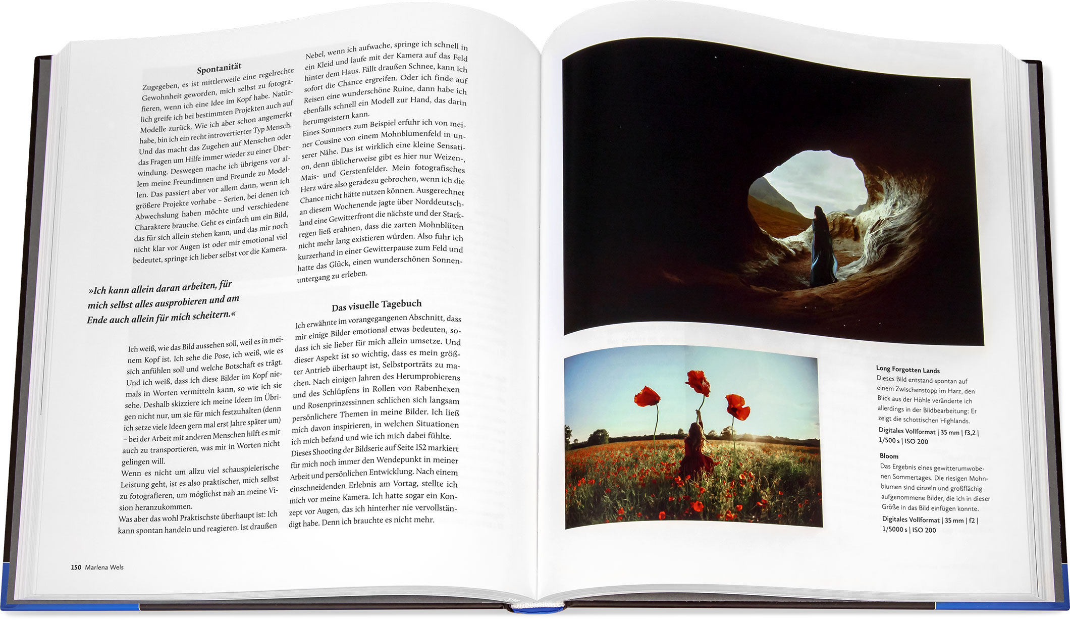Blick ins Buch: Das Selbstporträt
