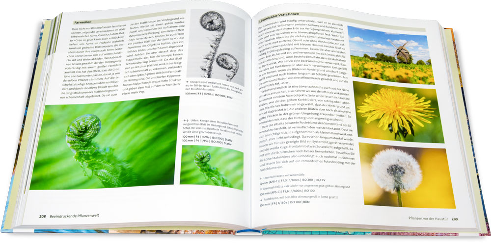 Blick ins Buch: Naturfotografie – Der große Fotokurs