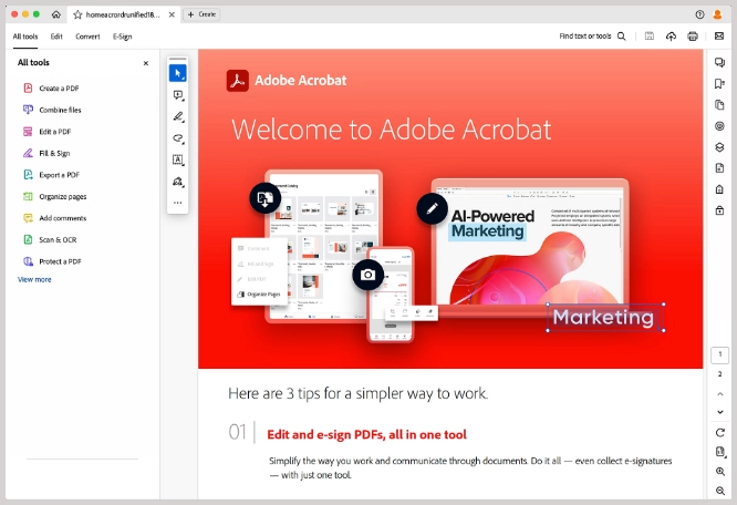 Adobe Acrobat Classic Screen