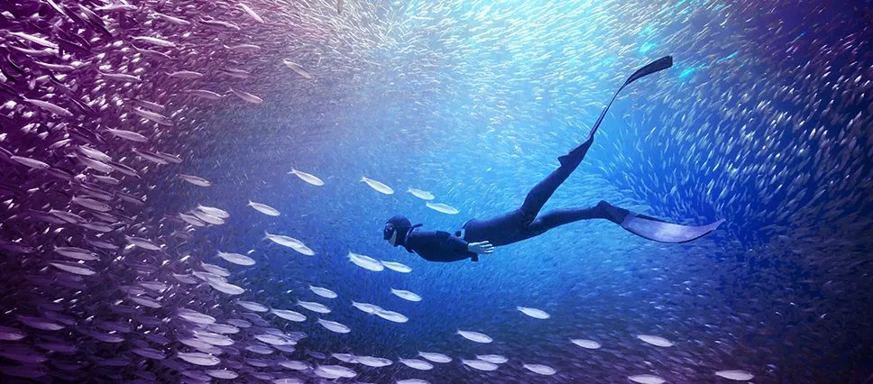 Premiere Elements 2026: innovative Videofunktionen für Kreative