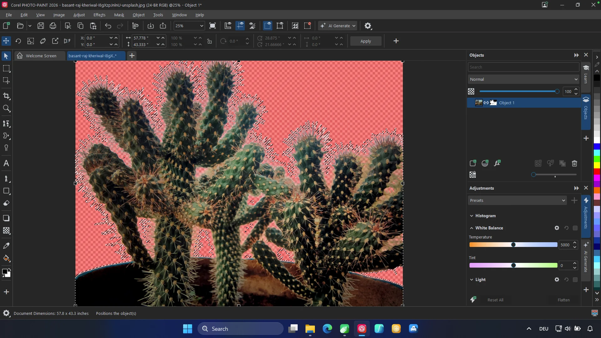 CorelDRAW 2026 - mit KI maskieren in PHOTO-PAINt unter Windows