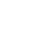 Icon Schutzschild