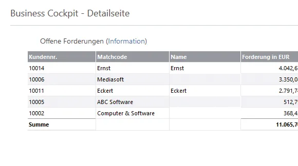 Screenshot zu Rechnungsprogramm Offene Forderungen