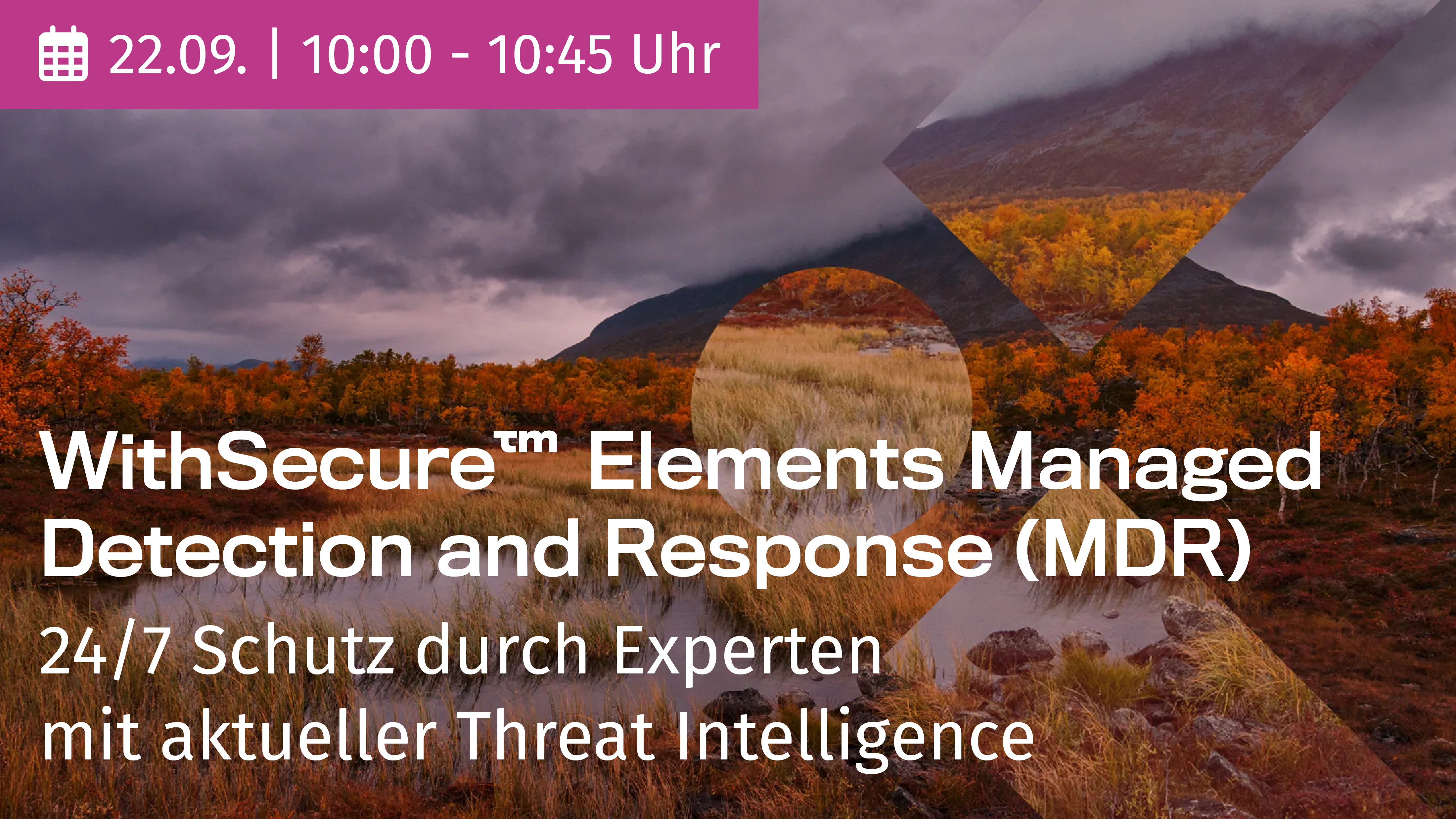 WithSecure Exposure Management