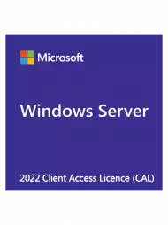 Microsoft Windows Server 2022 RDS User CAL (CSP Dauerlizenz), Best.Nr. MSL3177, € 179,00